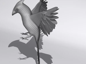 northern cardinal 3D Model
