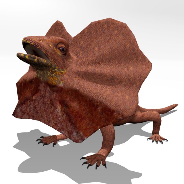 frill necked lizard Model 3D .c4d .max .obj .3ds .fbx .stl .blend 