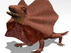 lagarto de cuello volante Modelo 3D