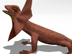 frill necked lizard 3D Model