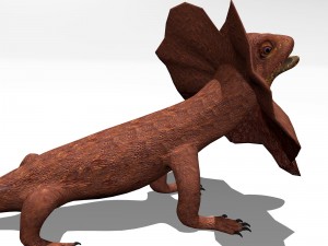 frill necked lizard Model 3D
