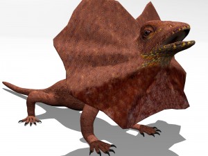 frill necked lizard Model 3D