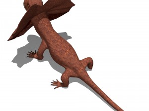 frill necked lizard Model 3D