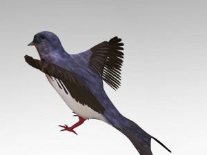 swallow 3D Model