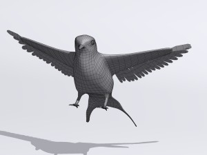 swallow 3D Model