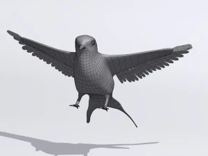 rondine Modello 3D
