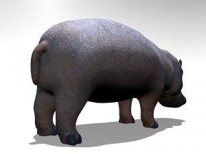 Hippopotamus Modelo 3D