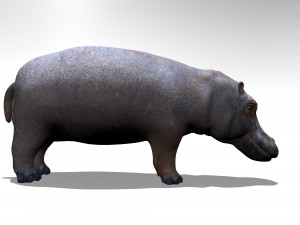 Hippopotamus Modelo 3D