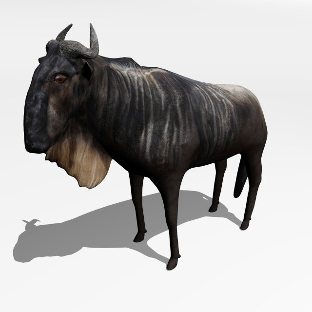 anthelope gnu 3D Model .c4d .max .obj .3ds .fbx .stl .blend 
