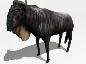 anthelope gnu 3D मॉडल