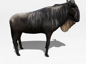 &ntilde;u ant&iacute;lope Modelo 3D