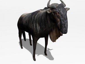 anthelope gnu 3D Model