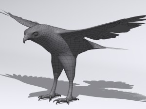 harris hawk 3D मॉडल