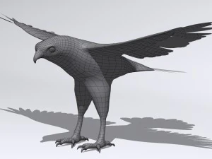 harris hawk 3D Model