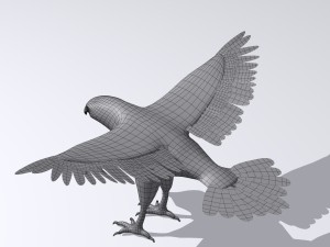 harris hawk 3D मॉडल