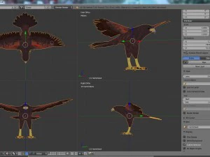 harris hawk 3D Model