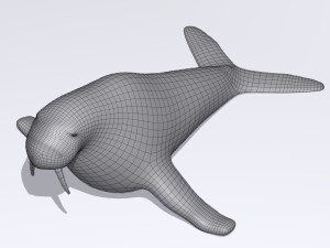 walrus Model 3D