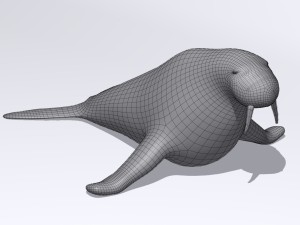 walrus Model 3D
