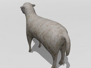 lamb 3D मॉडल