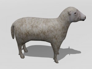 lamb 3D मॉडल