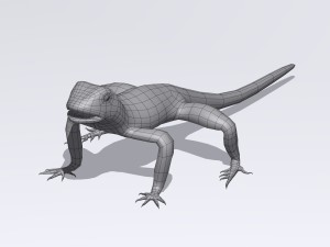 collared lizard Modelo 3D