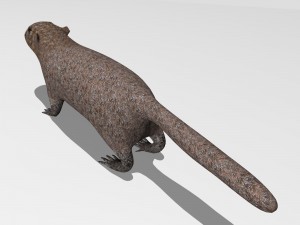 marmot Model 3D