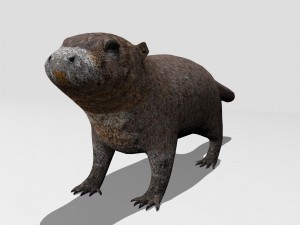 marmot Model 3D