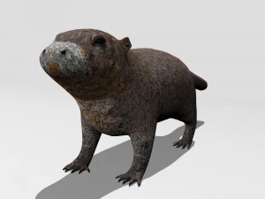 marmot 3D Model