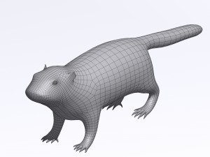 marmot Model 3D