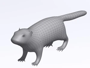 marmot 3D Model