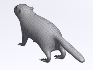 marmot Model 3D