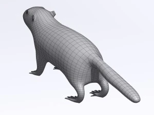 marmot 3D Model