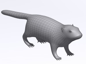 marmot Model 3D