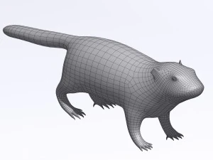 marmot 3D Model