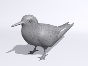 common tern Modèle 3D
