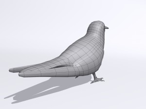 common tern Modèle 3D