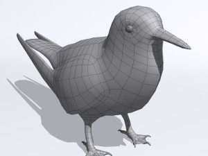 common tern Modèle 3D