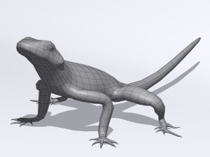 agama lizard Modelo 3D