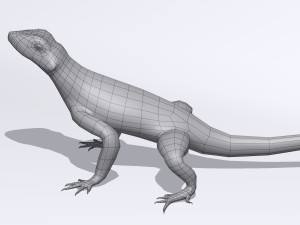 agama lizard Modelo 3D