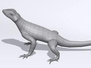 agama lizard 3D Model