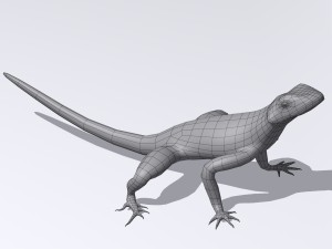 agama lizard Modelo 3D