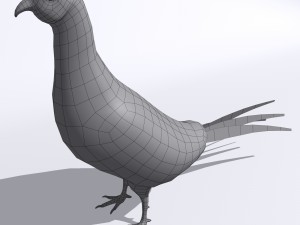 pheasant 3D Model