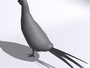 pheasant 3D Model