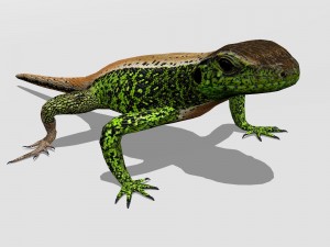 sand lizard lacerta agilis 3D Model