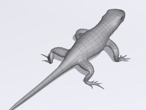 sand lizard lacerta agilis 3D Model