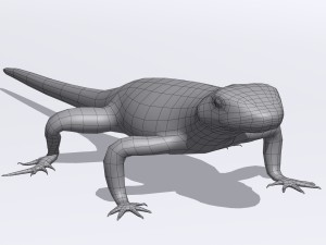 sand lizard lacerta agilis 3D Model
