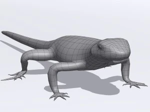 sand lizard lacerta agilis 3D Model