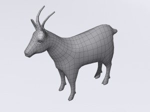 chamois 3D मॉडल