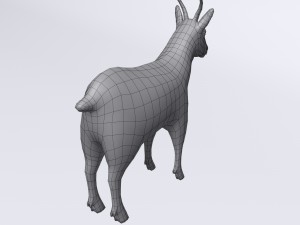 chamois 3D मॉडल