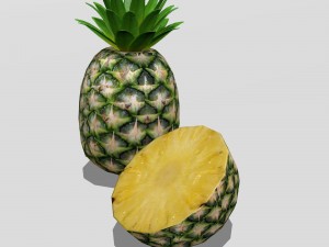Pineapple 3D मॉडल